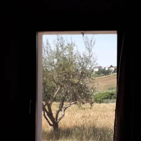Casa Rosa 3*