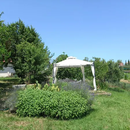 Oda ve Kahvaltı Casa Rosa 3*