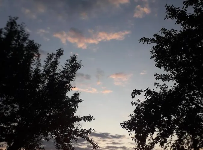 Casa Rosa 住宿加早餐酒店 3*